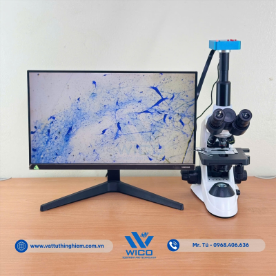 vttn-vuong-icc-1038-te-bao-than-kinh (3).jpg